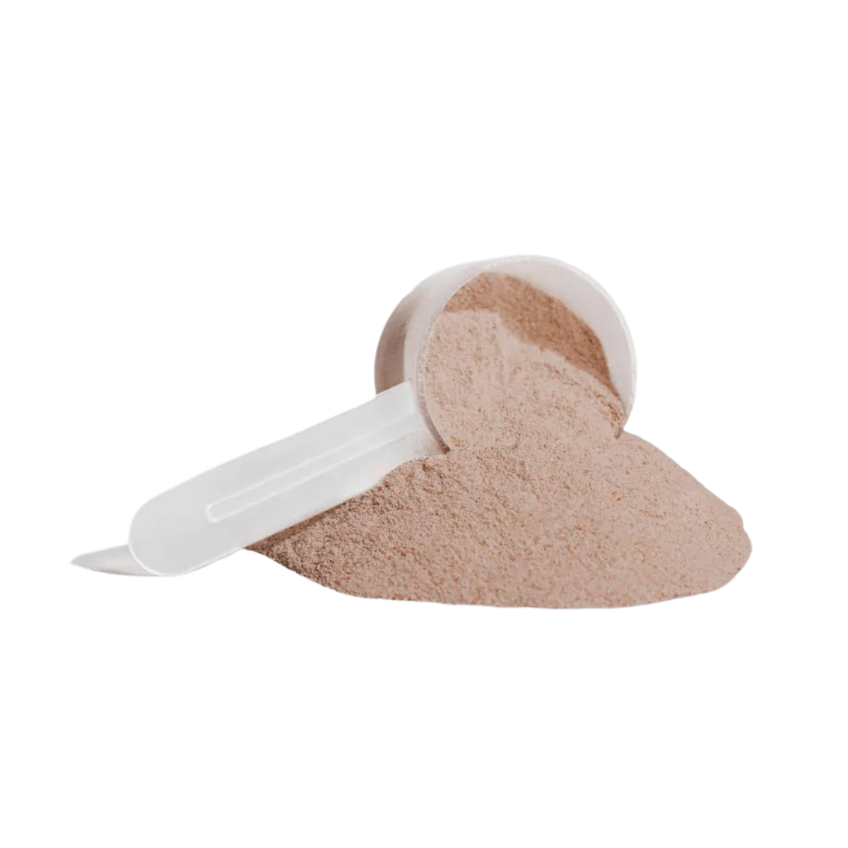 Plant Protein (Chocolate)